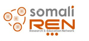 somren-300x138